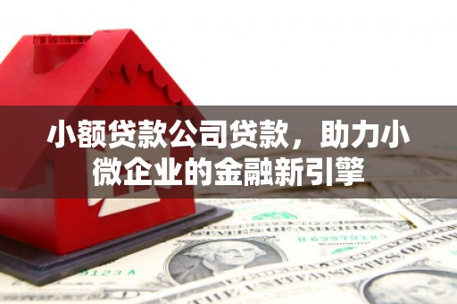 神农架小额贷款公司贷款，助力小微企业的金融新引擎