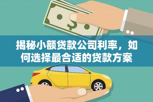 神农架揭秘小额贷款公司利率，如何选择最合适的贷款方案