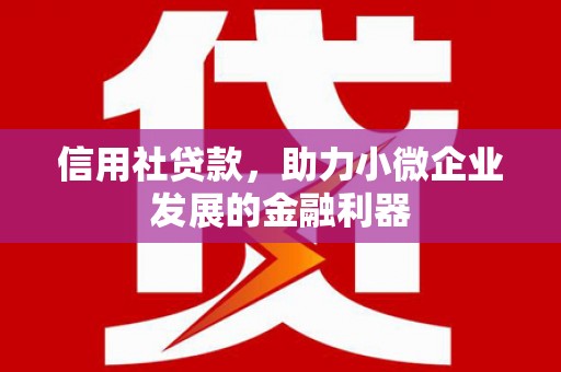 神农架信用社贷款，助力小微企业发展的金融利器