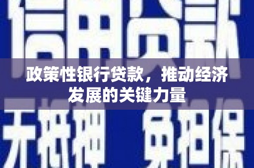神农架政策性银行贷款，推动经济发展的关键力量