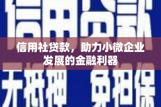神农架信用社贷款，助力小微企业发展的金融利器