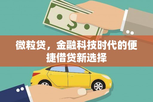 神农架微粒贷，金融科技时代的便捷借贷新选择