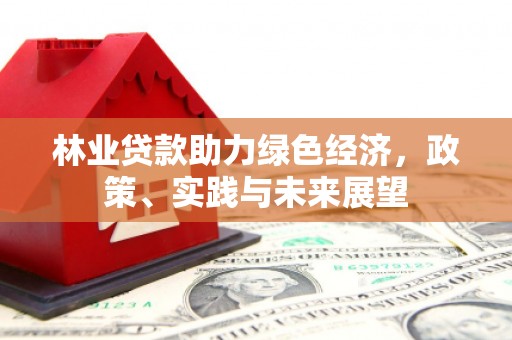神农架林业贷款助力绿色经济，政策、实践与未来展望