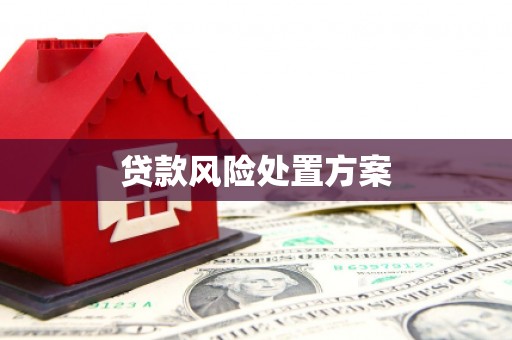 神农架贷款风险处置方案