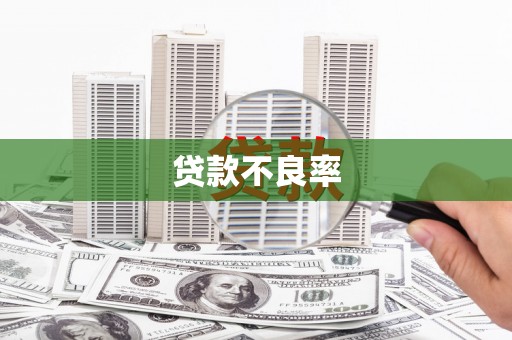 神农架贷款不良率
