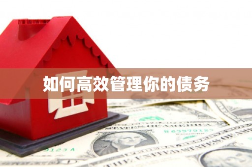 神农架如何高效管理你的债务
