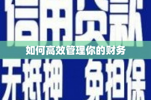 神农架如何高效管理你的财务