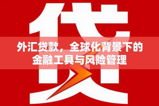 神农架外汇贷款，全球化背景下的金融工具与风险管理